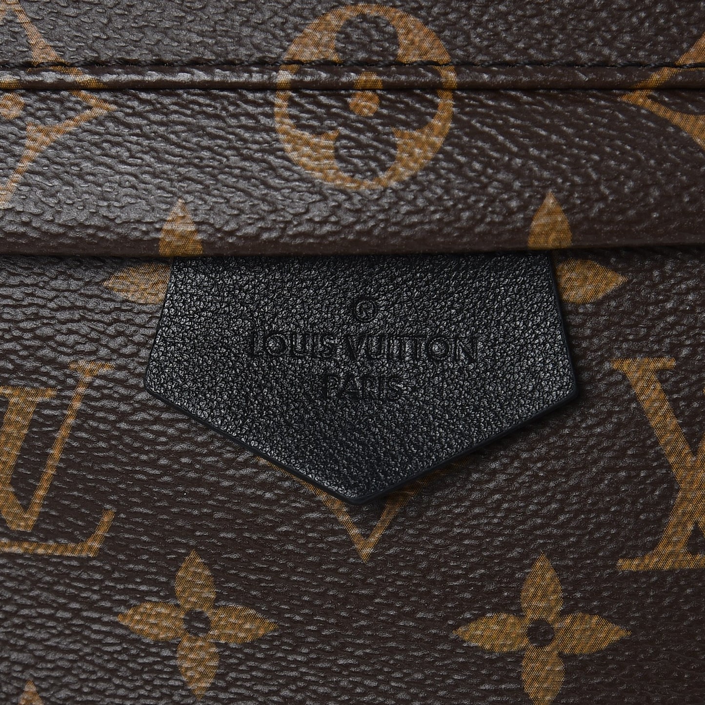 Monogram Palm Springs Backpack MM