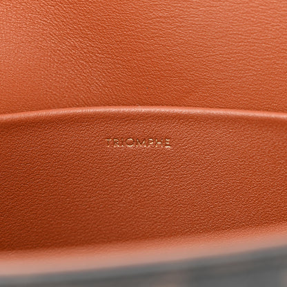 Celine Canvas Calfskin Triomphe Shoulder Bag Tan 9 of 12