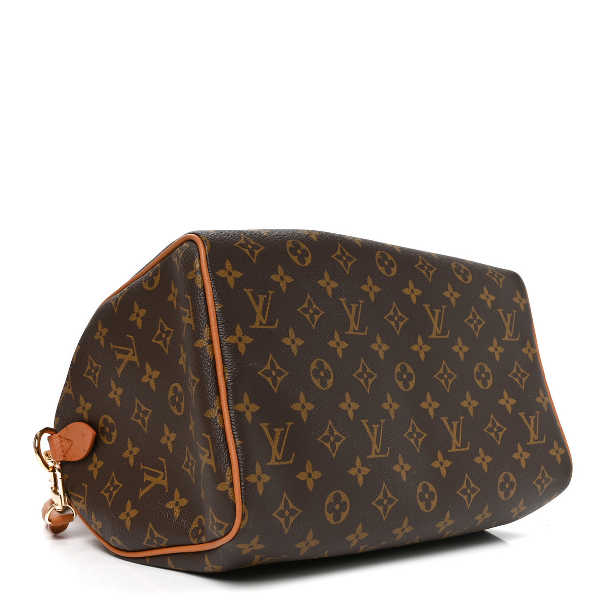 Monogram Speedy Soft 30 Boho