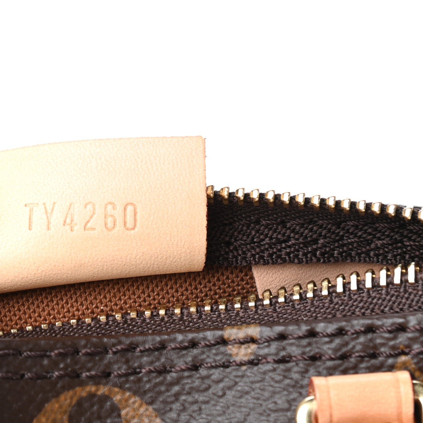 Monogram Nano Speedy