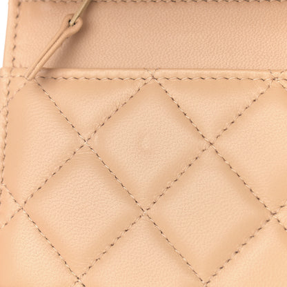 Chanel Lambskin Quilted CC Pearl Crush Wallet on Chain WOC Beige 9 of 13