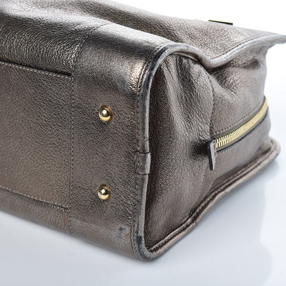 Loewe Metallic Calfskin Amazona Bronze 10 of 14