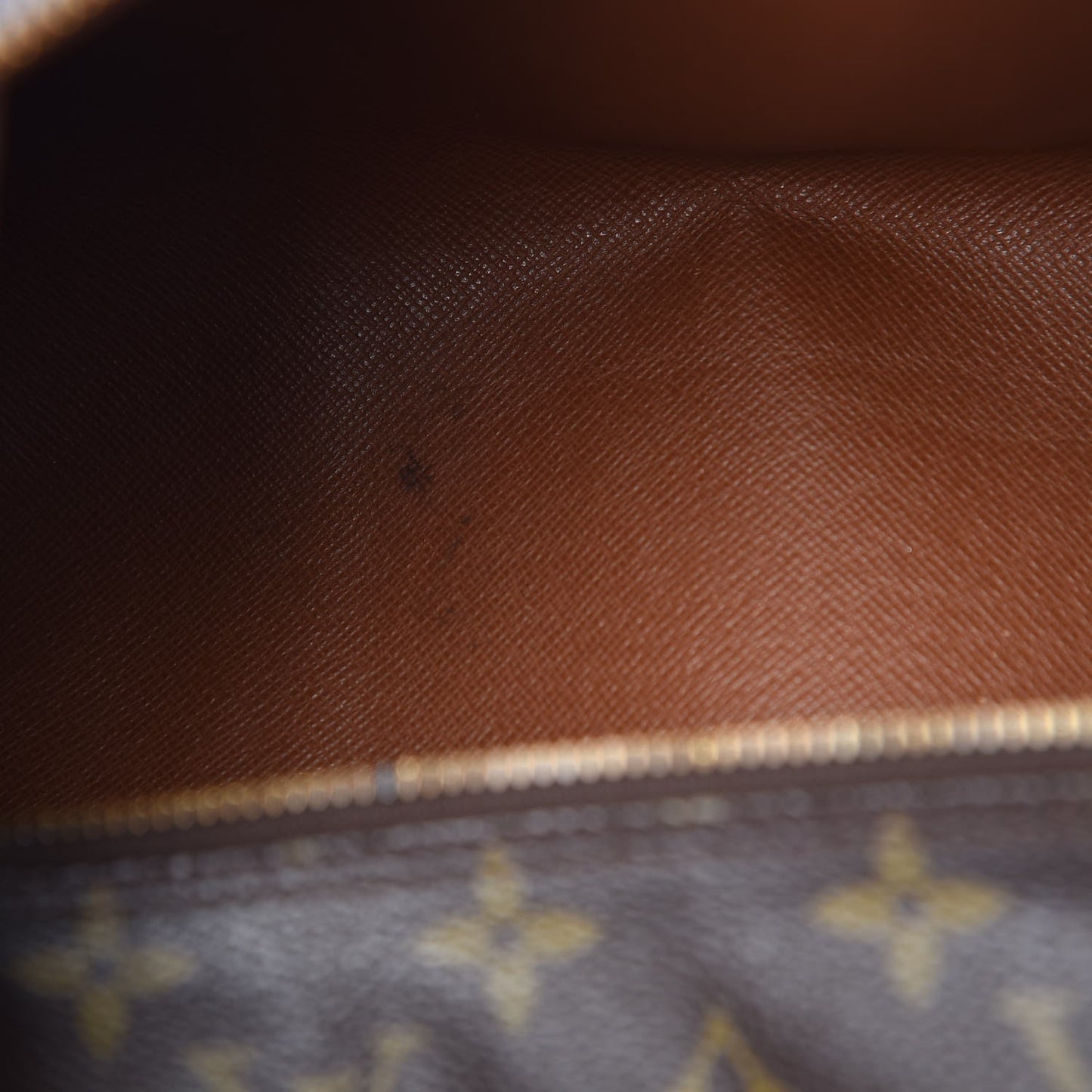 Monogram Papillon 30