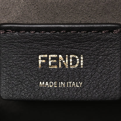 Fendi Kuban Canvas Vitello King F is Fendi FF Embroidered Mini Mon Tresor Bucket Bag Multicolor Cuoio 6 of 10