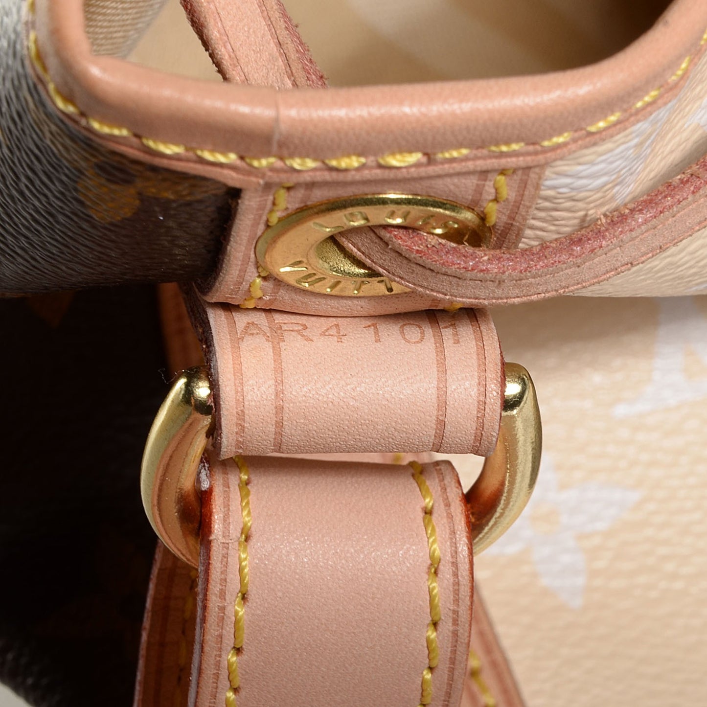 Monogram Rayures Petit Noe