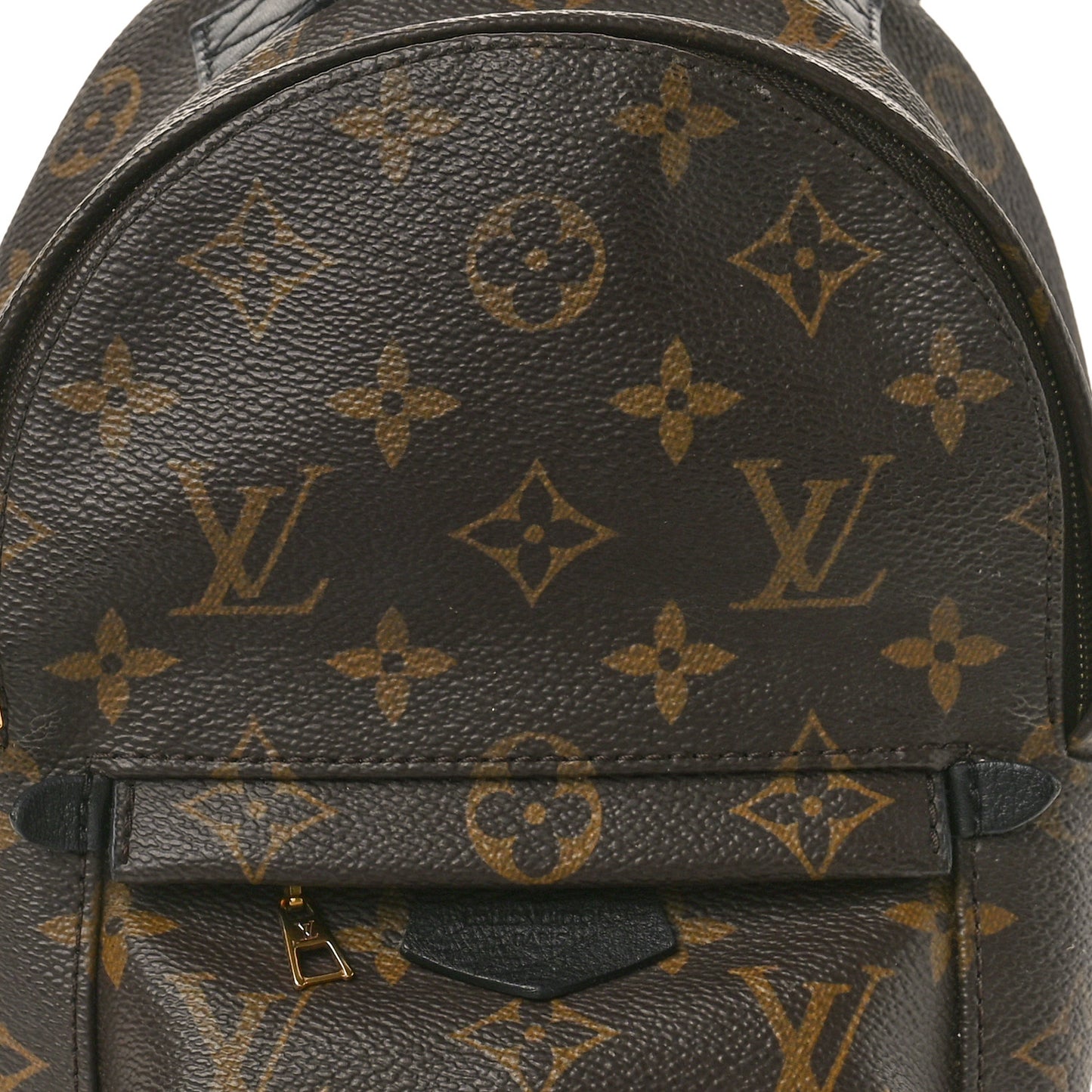 LOUIS VUITTON Monogram Palm Springs Backpack Mini