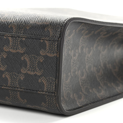 Celine Triomphe Canvas Calfskin Small Vertical Cabas Tan 9 of 9