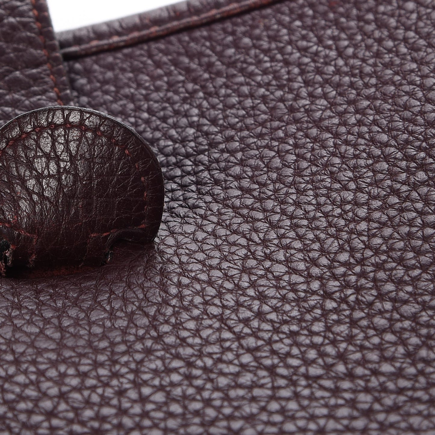 Taurillon Clemence Evelyne II PM Prune