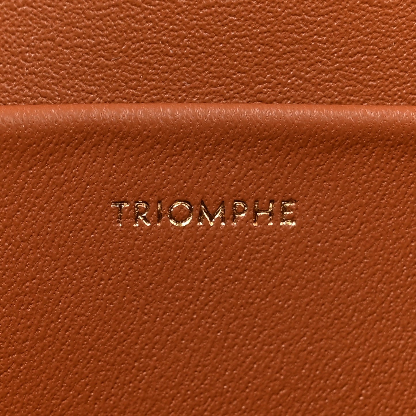 Triomphe Canvas Calfskin Medium Triomphe Bag Tan