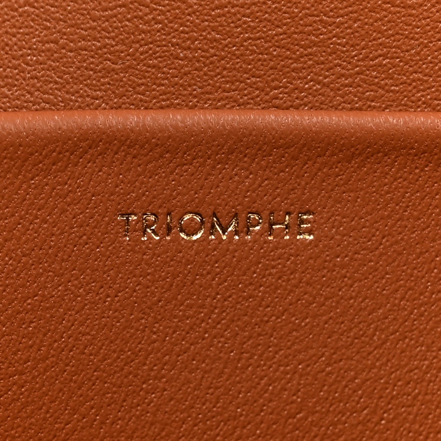 Celine Triomphe Canvas Calfskin Medium Triomphe Bag Tan 7 of 11