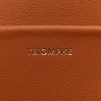 Celine Triomphe Canvas Calfskin Medium Triomphe Bag Tan 7 of 11