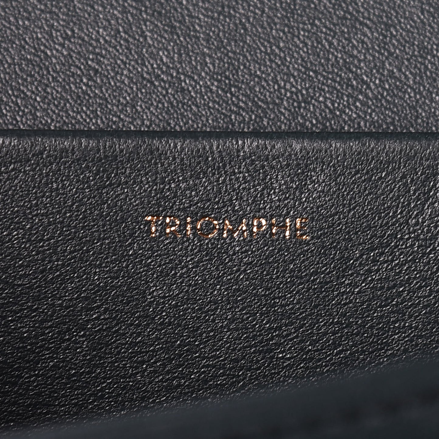 Shiny Calfskin Medium Triomphe Amazone