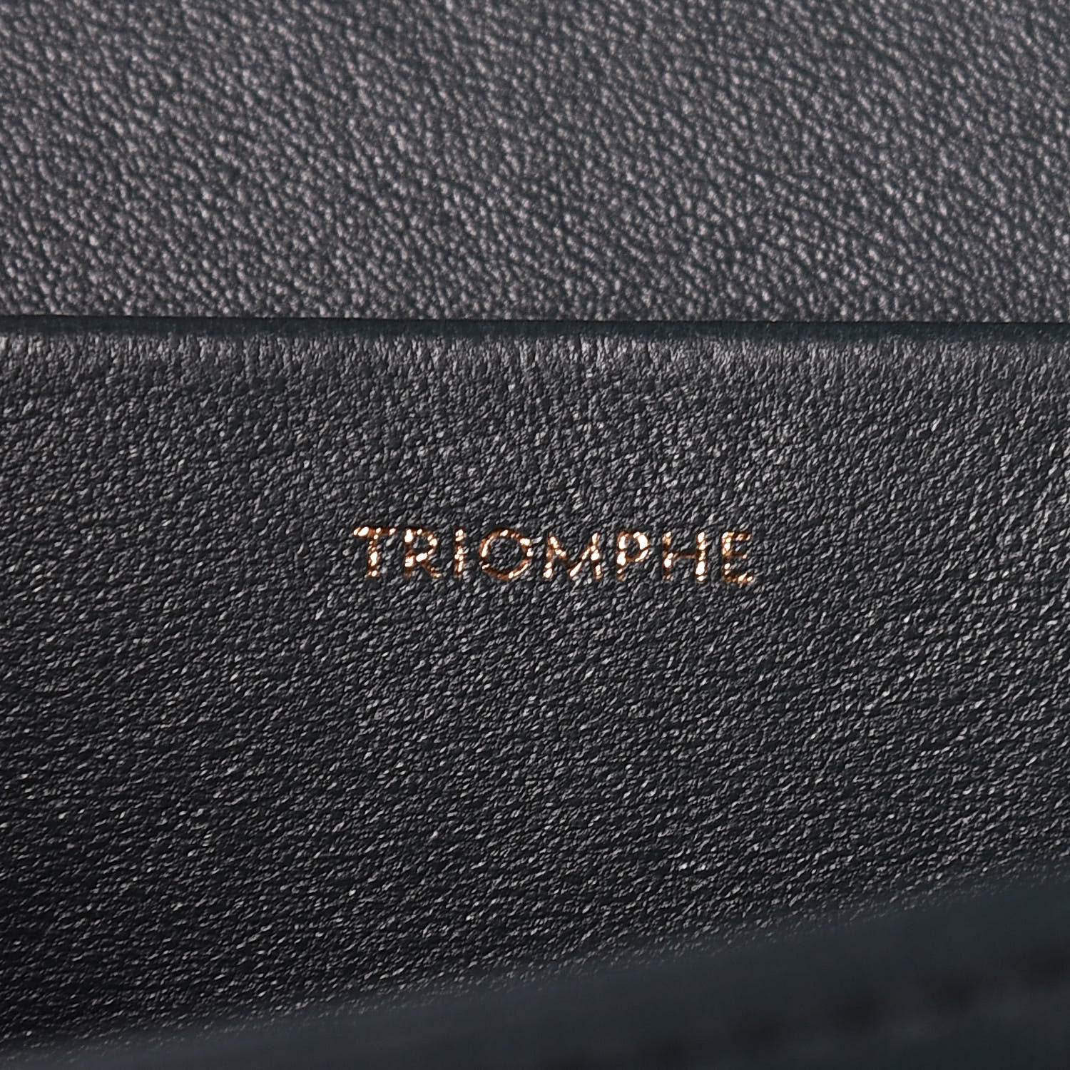 Celine Shiny Calfskin Medium Triomphe Amazone 8 of 10