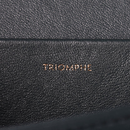 Celine Shiny Calfskin Medium Triomphe Amazone 8 of 10