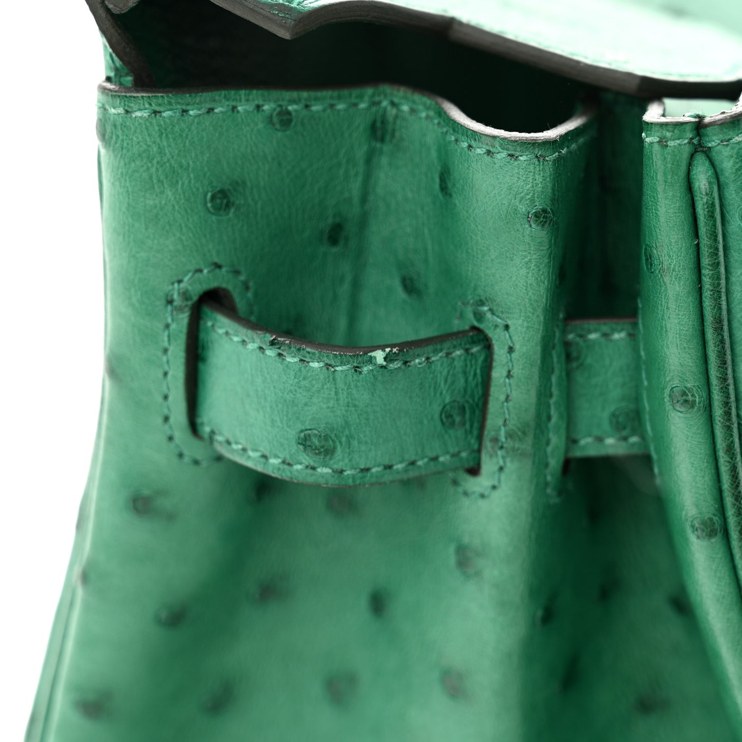 Ostrich Birkin 30 Vert Vertigo