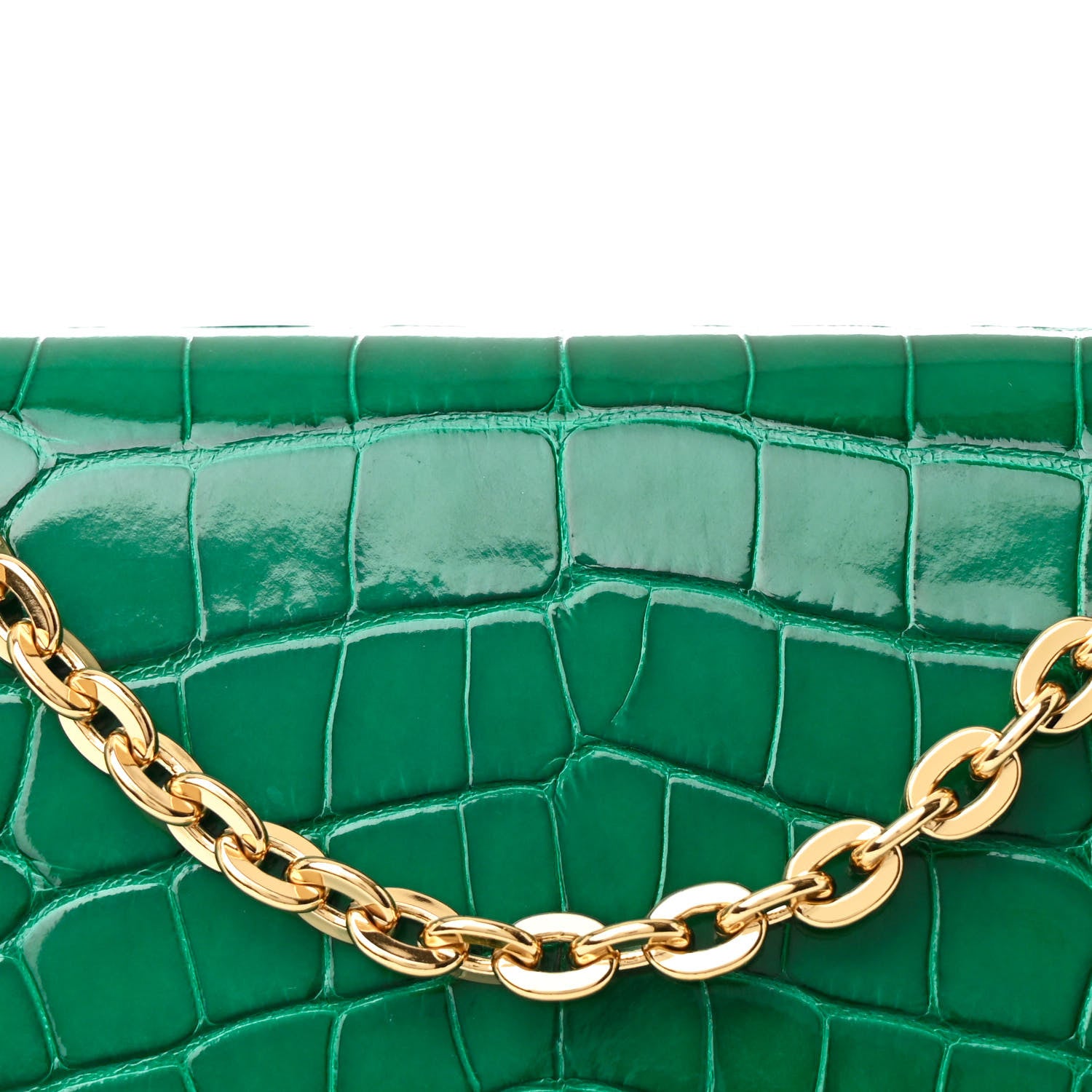 Louis Vuitton Alligator Chain Louise GM Emerald 7 of 10