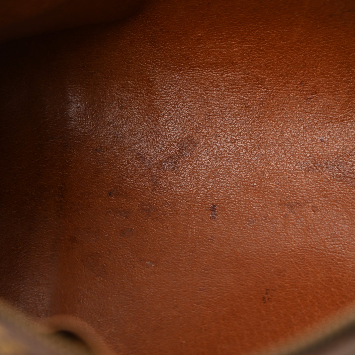 Monogram Papillon 30