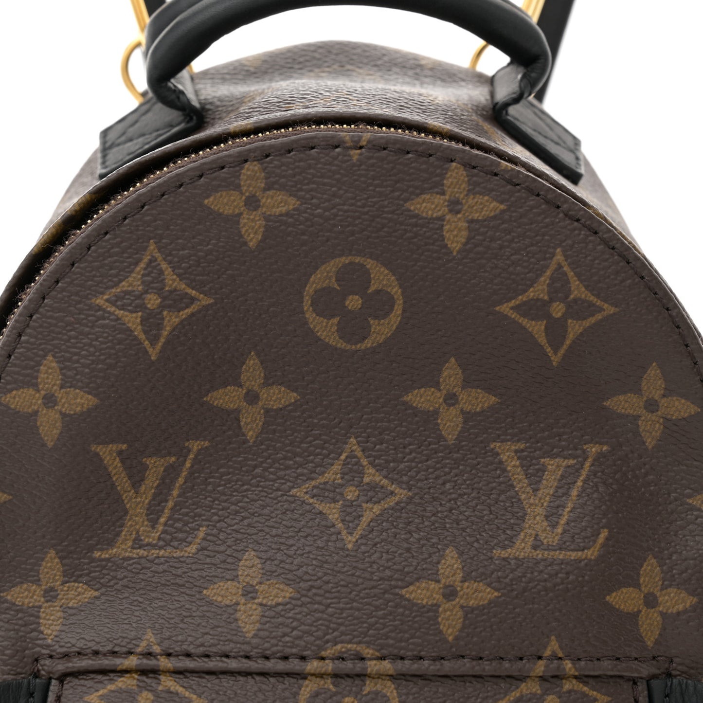Monogram Palm Springs Backpack Mini