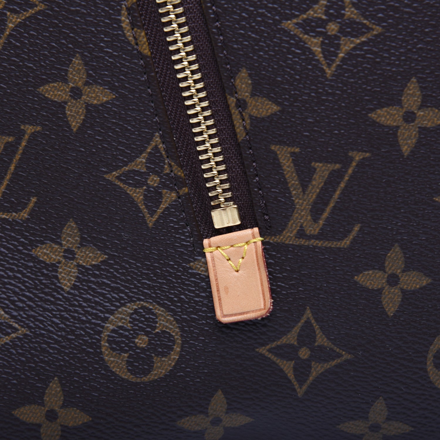 Louis Vuitton Monogram Delightful GM 14 of 16