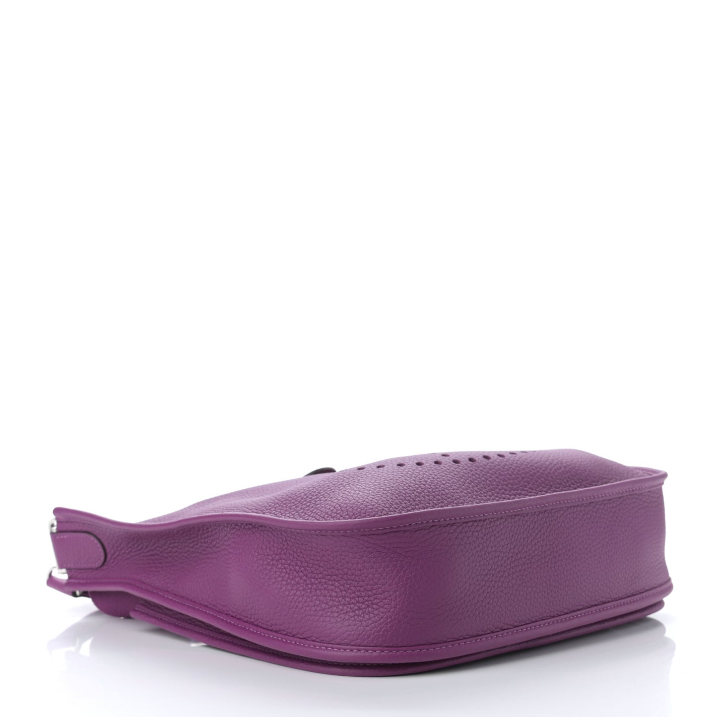 Taurillon Clemence Evelyne III PM Anemone