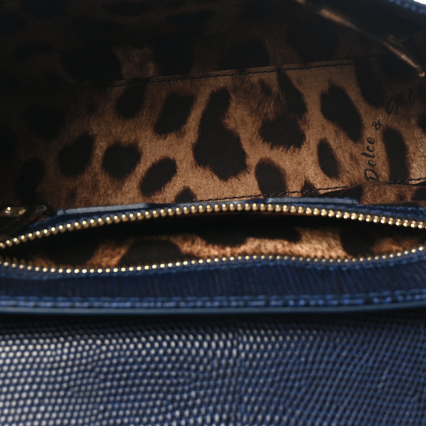 Stampa Iguana Calfskin Crystal Millennials Chain Shoulder Bag Blue