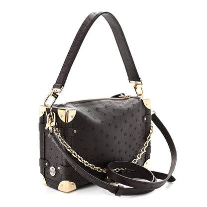Louis Vuitton Ostrich Side Trunk MM Marron 3 of 10