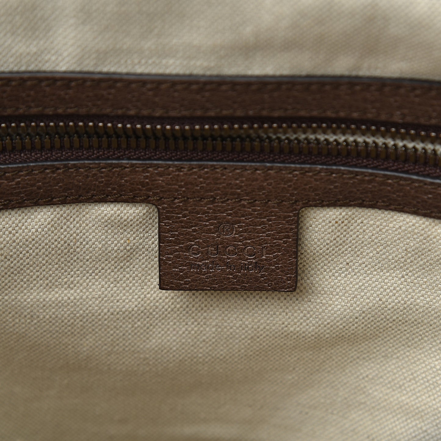 GG Supreme Monogram Medium Ophidia Day Backpack Brown
