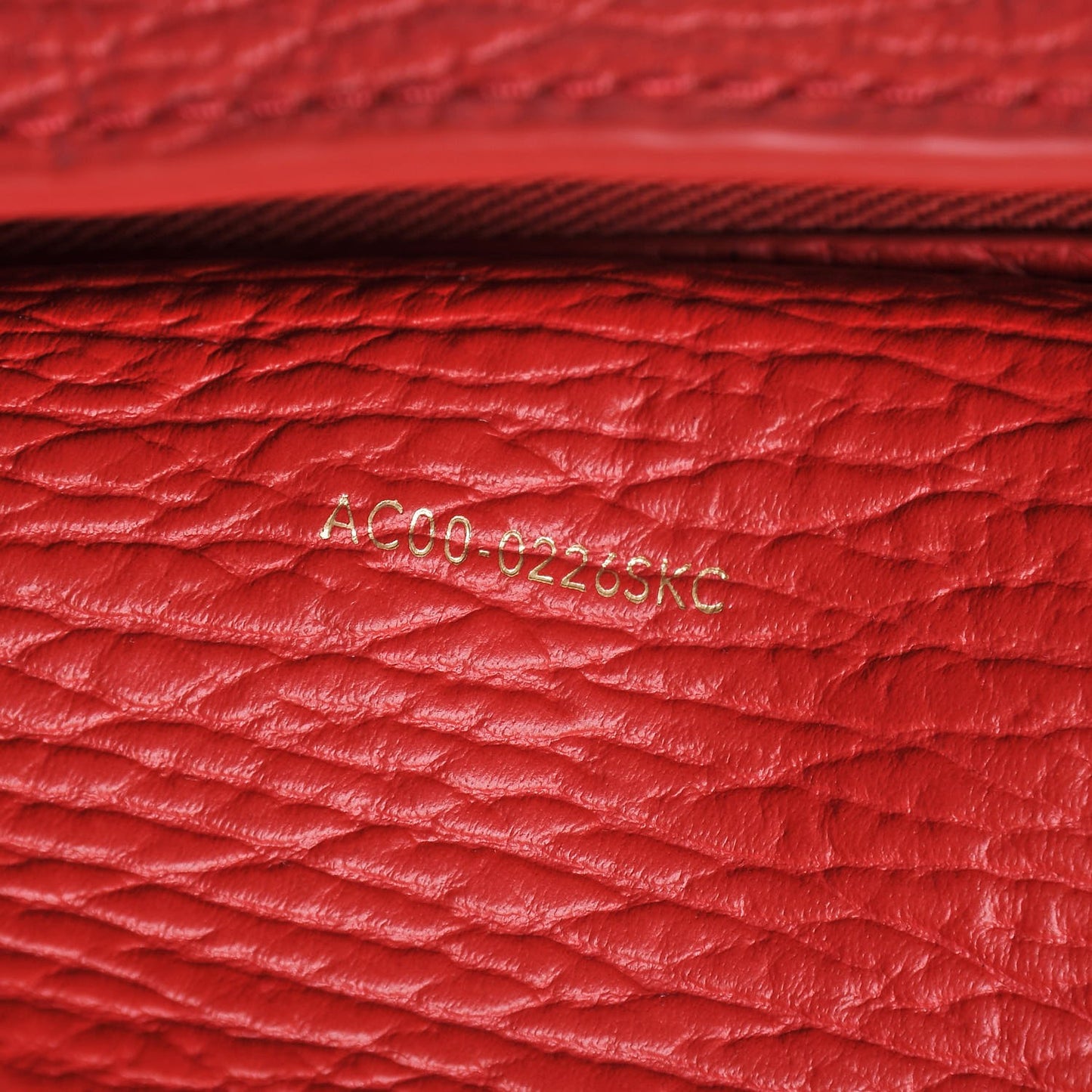 3.1 Textured Calfskin Mini Pashli Satchel Red