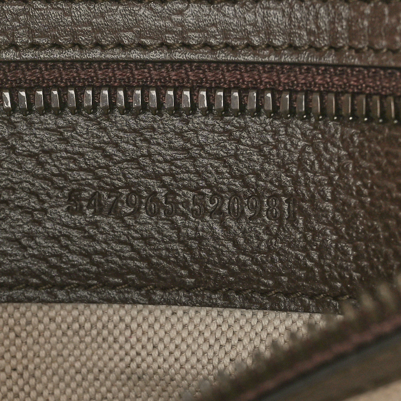 GG Supreme Monogram Textured Dollar Calfskin Web Small Ophidia Day Backpack Beige Ebony Fluorescent Fuchsia