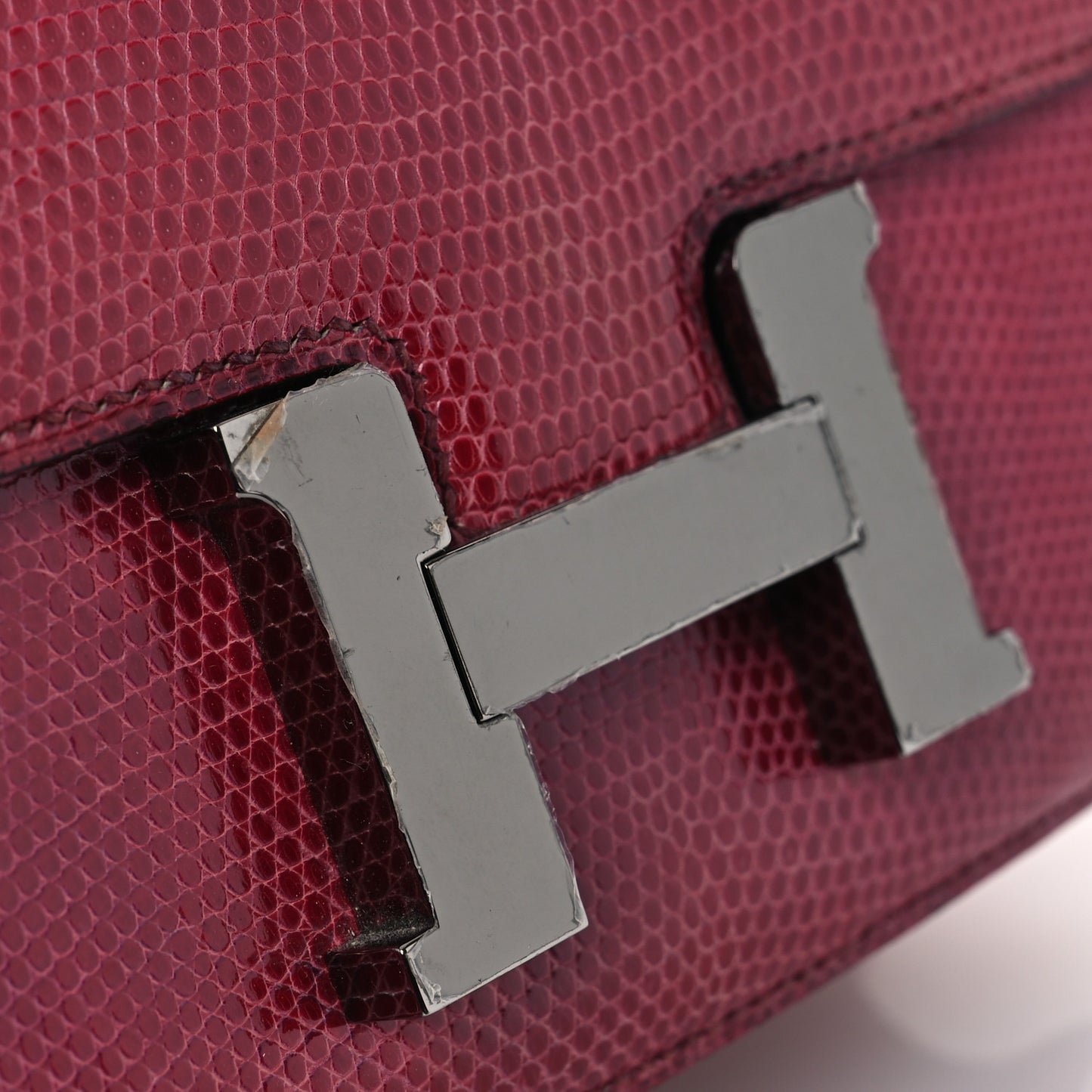 Lizard Constance 18 Fuchsia