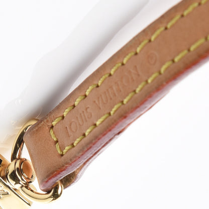 Louis Vuitton Vachetta Long Shoulder Strap VVN 5 of 5