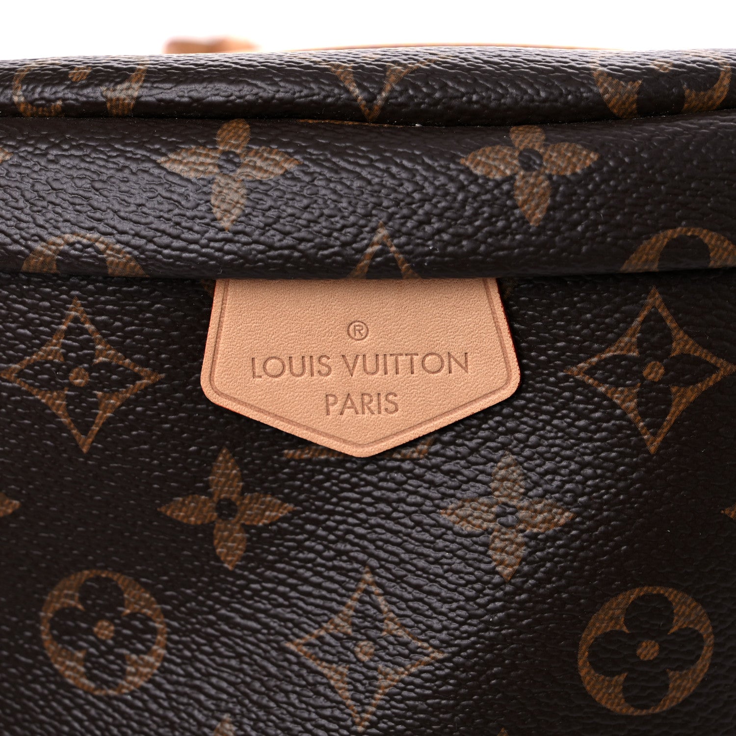 Louis Vuitton Monogram Bumbag 8 of 14
