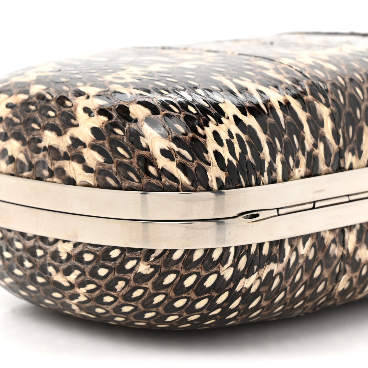 Snakeskin Skull Box Clutch Brown