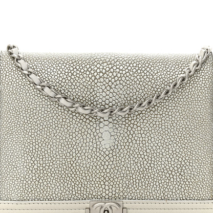 Chanel Metallic Galuchat Stingray Lambskin Boy Wallet On Chain WOC Silver 8 of 15