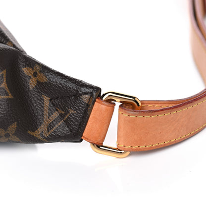Louis Vuitton Monogram Bumbag 5 of 12