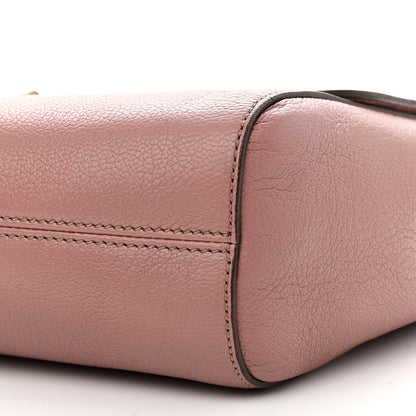 Mulberry Calfskin Goat Medium Lily Flap Dark Blush 11 of 14