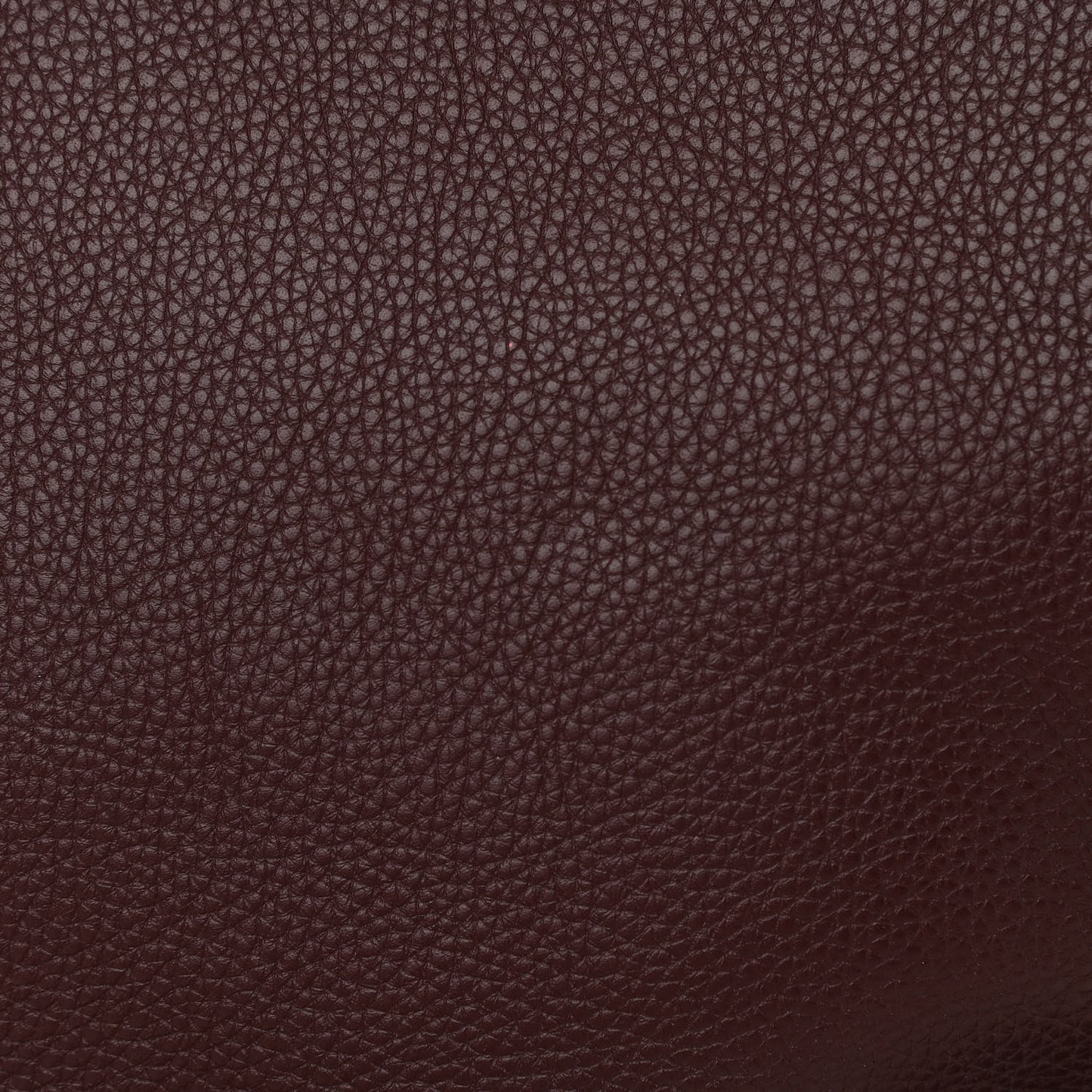 Empire Calf Spikes Fringe Eloise Hobo Bordeaux