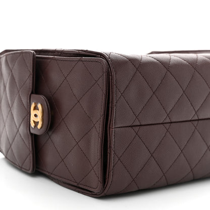Chanel Caviar Quilted Small Chanel 25 Handbag Dark Brown 9 of 11