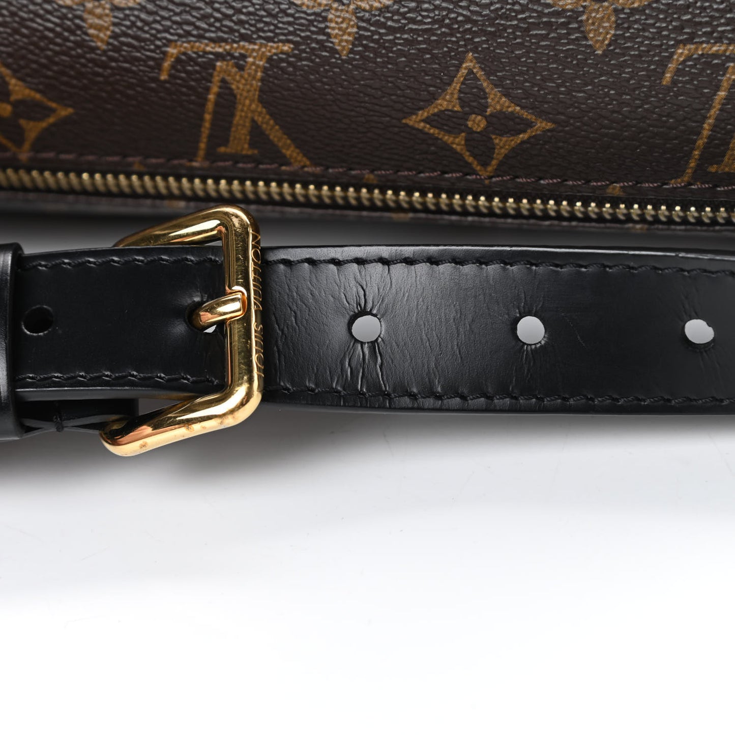 Monogram My LV World Tour Bumbag