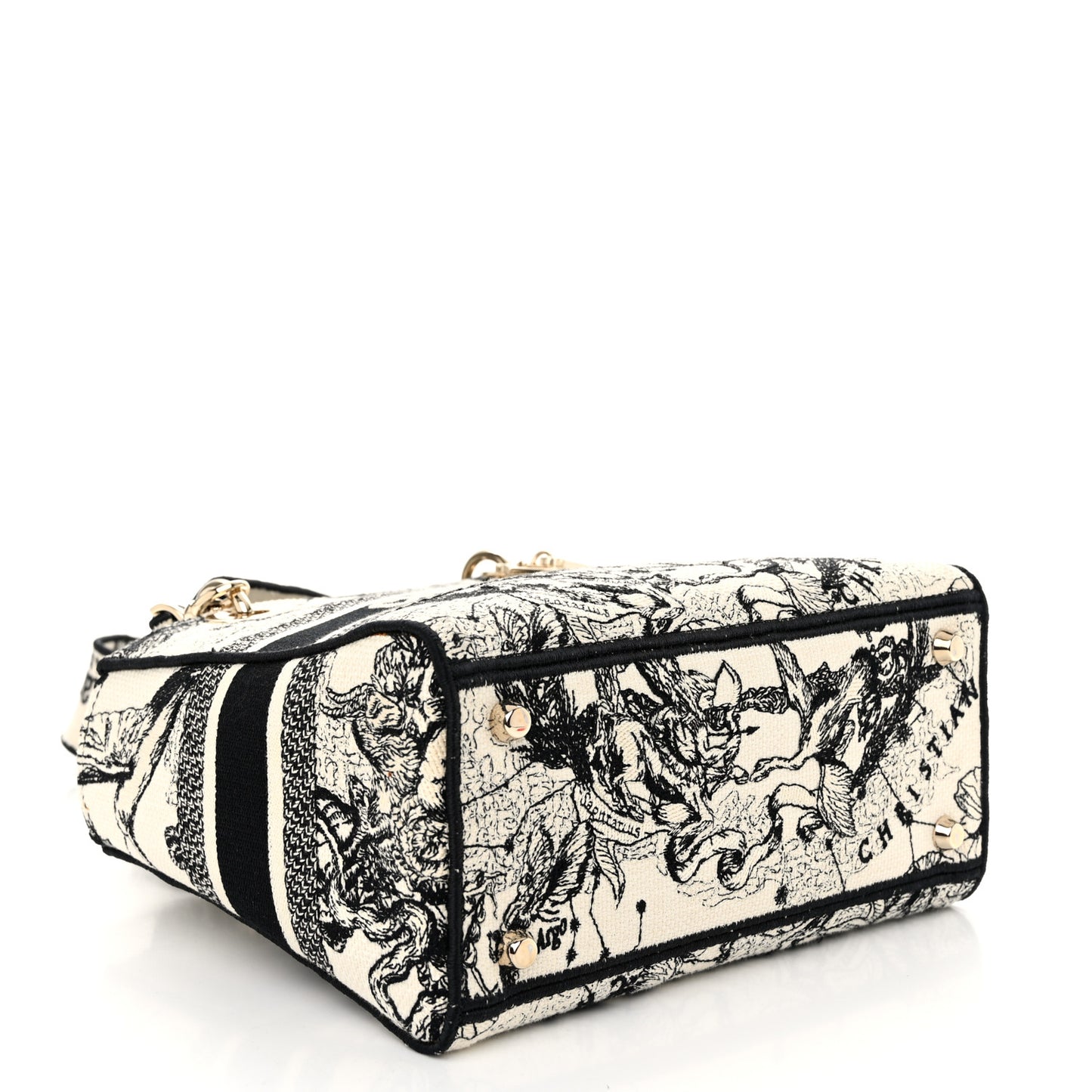 Canvas Embroidered Zodiac Toile De Jouy Medium Lady D-Lite Latte
