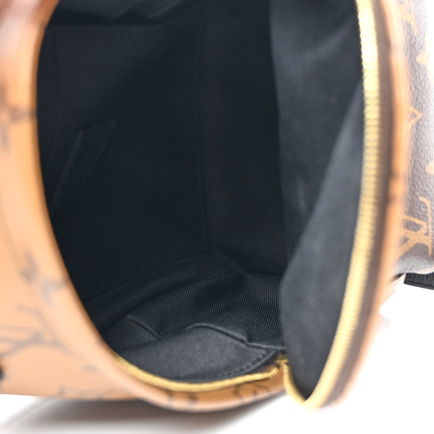 Reverse Monogram Palm Springs Backpack Mini