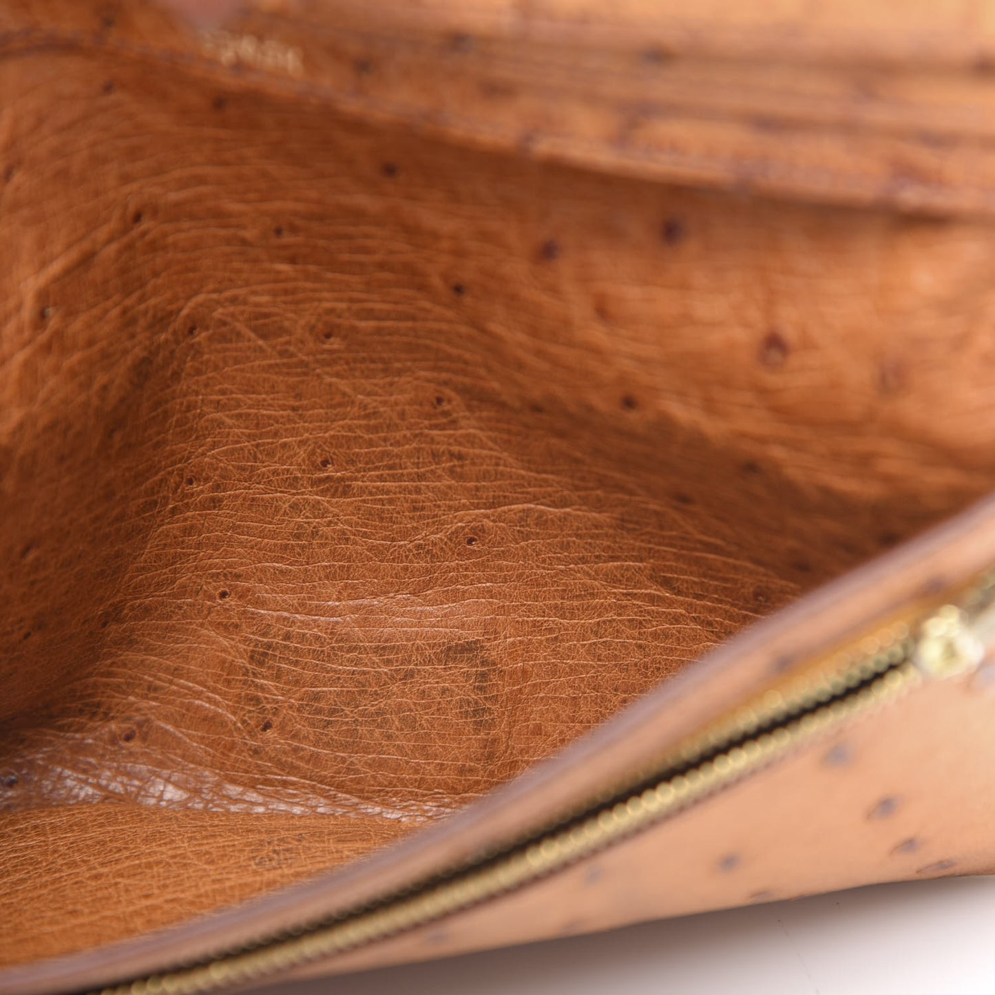 Ostrich Bearn Wallet Gold