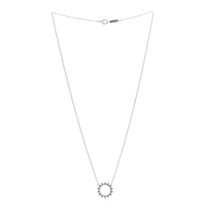 Tiffany Platinum Diamond Small Open Circle Pendant Necklace 2 of 4