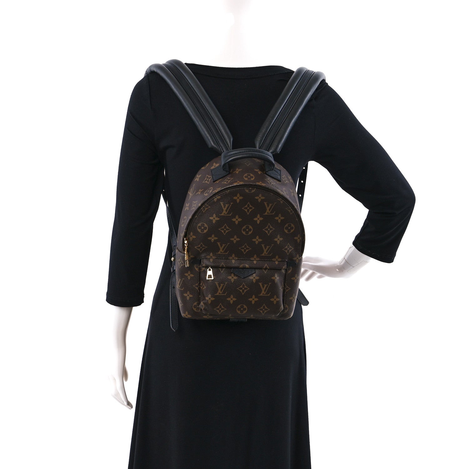 Louis Vuitton Monogram Palm Springs Backpack PM 3 of 8
