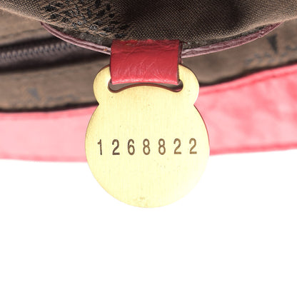 Mulberry Soft Buffalo Oversized Alexa Watermelon 6 of 8