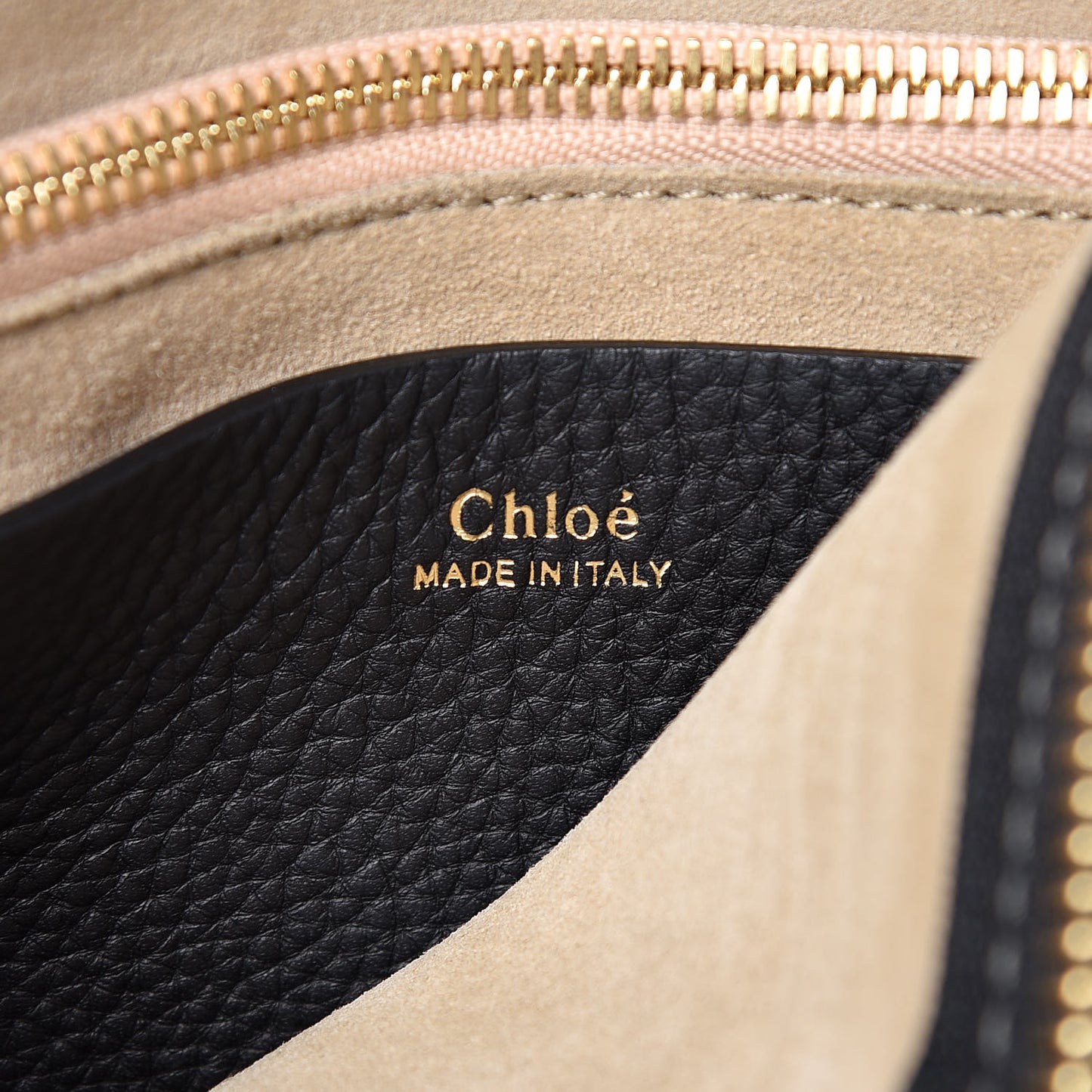 Grained Calfskin Small Hayley Hobo Black