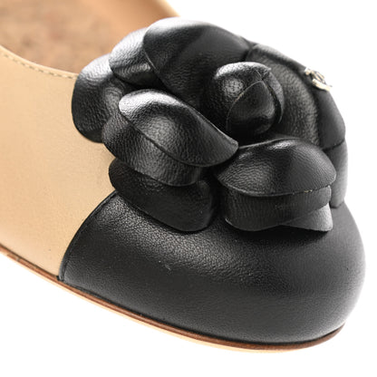 Chanel Lambskin Camellia Ballerina Flats 36.5 Beige Black 11 of 12