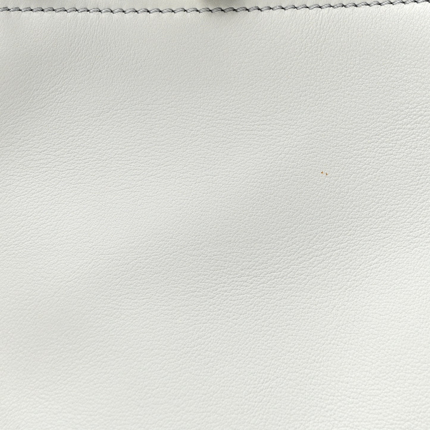 Vitello Seta Shiny Nappa Pearl Scalloped Studded Floral Embroidered Medium Peekaboo Iconic Satchel Grigio Perla Multicolor