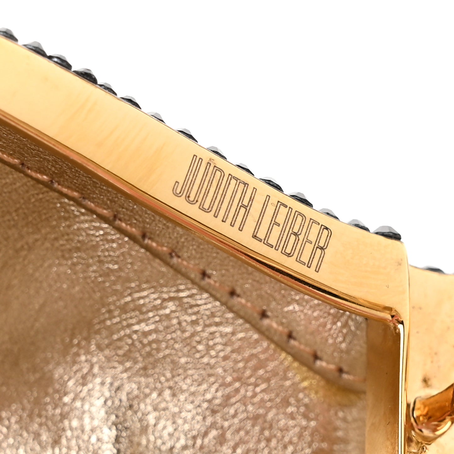 Crystal Kendall's Doberman Minaudiere Clutch