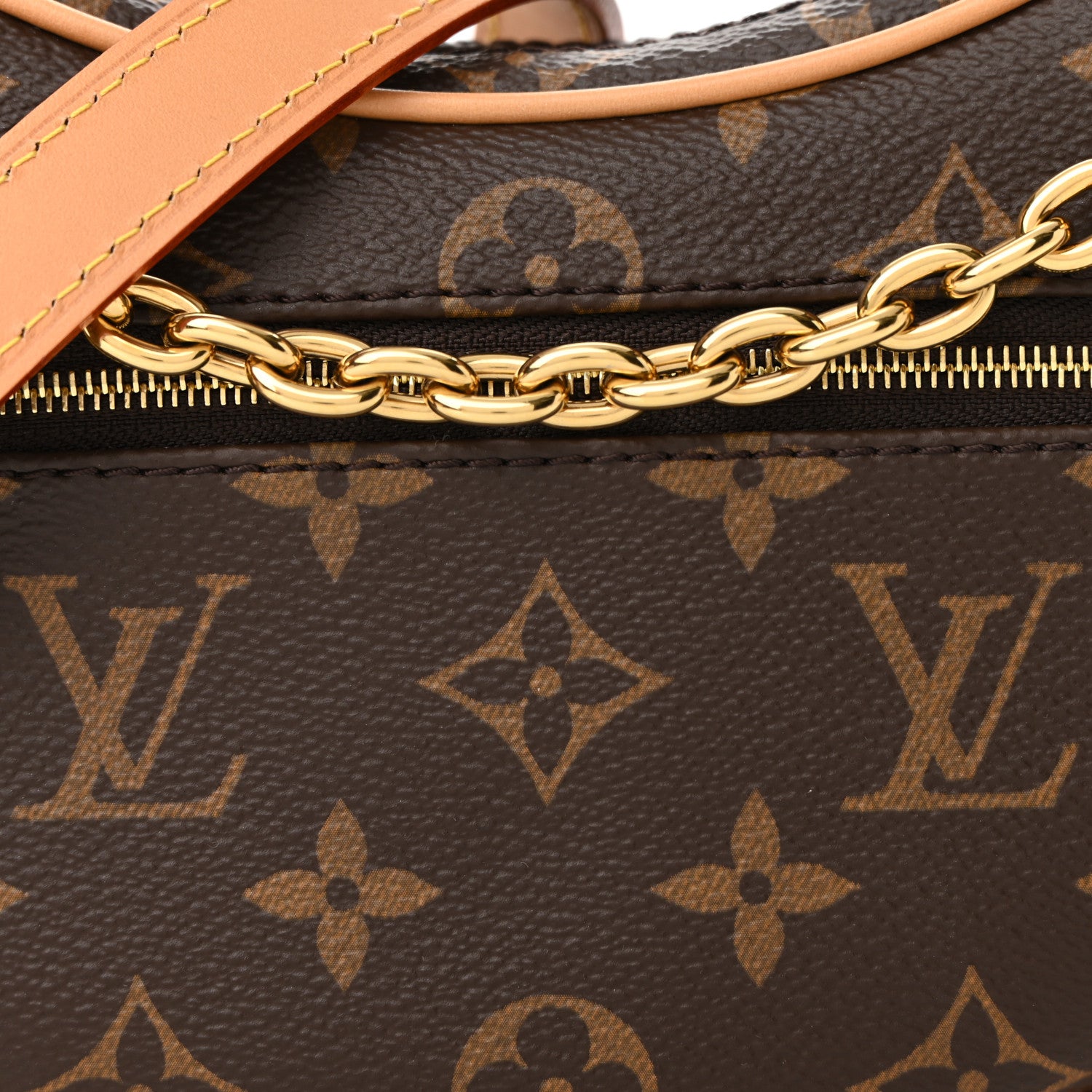 Louis Vuitton Monogram Loop 7 of 9